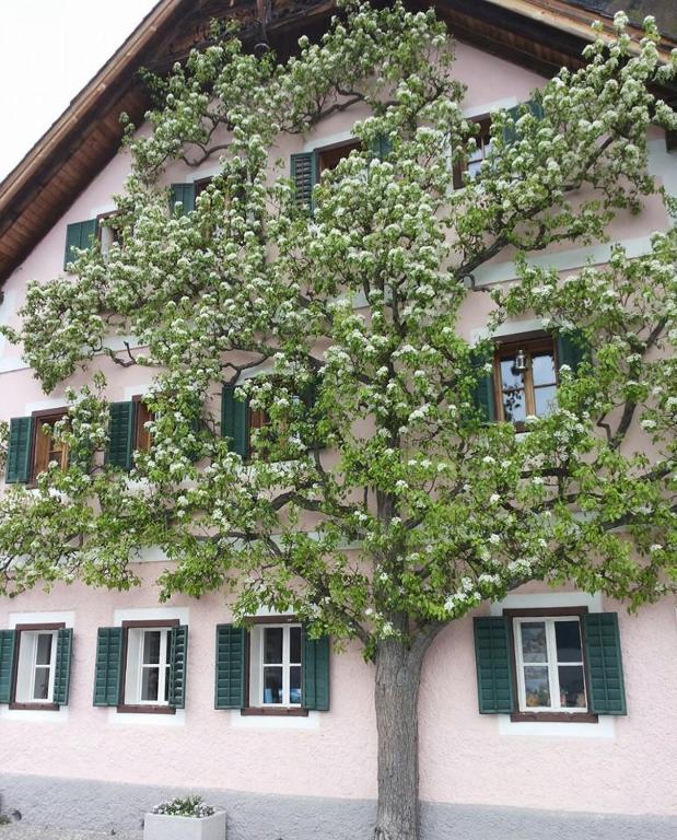 Apartment Luise photo