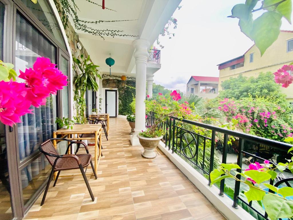 Tam Coc Full House Homestay