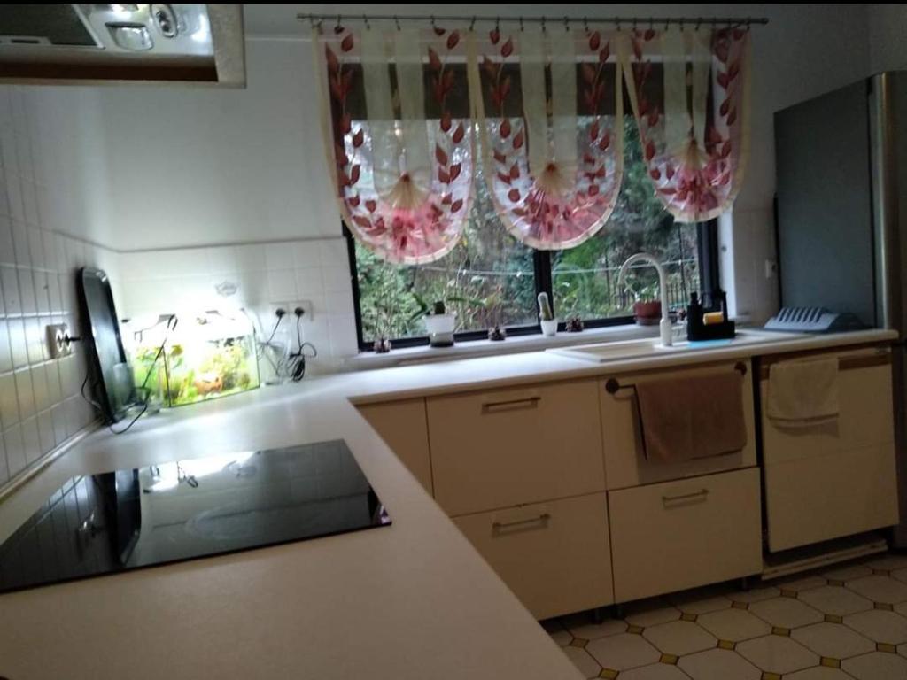 Ochota Forest Guest House photo