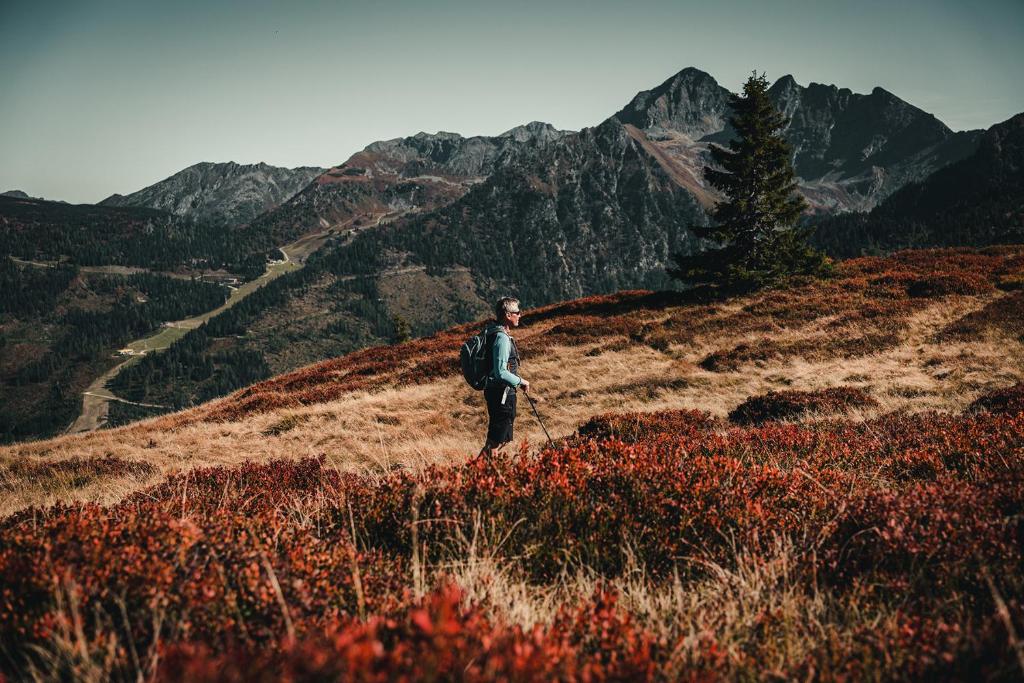 Surrounding environment