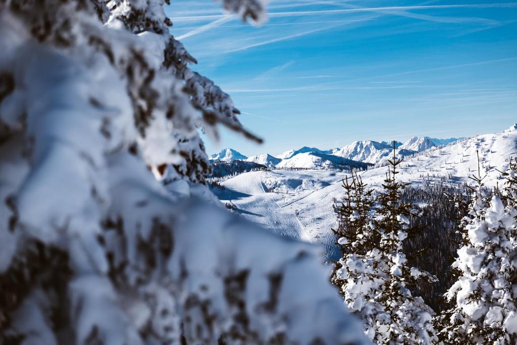 Surrounding environment