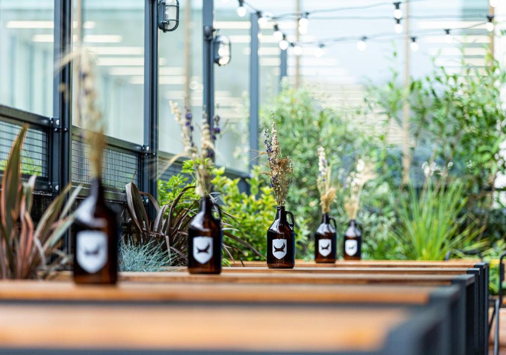 BrewDog DogHouse Manchester photo 8