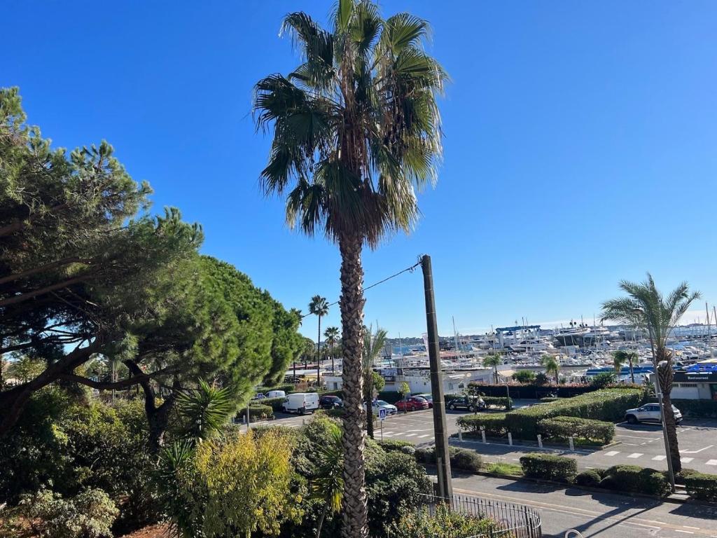 Seafront - beautiful flat with aircon and comfortable loggia - 5