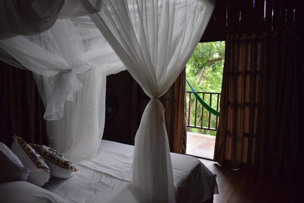 EcoHostal Rio Piedra photo
