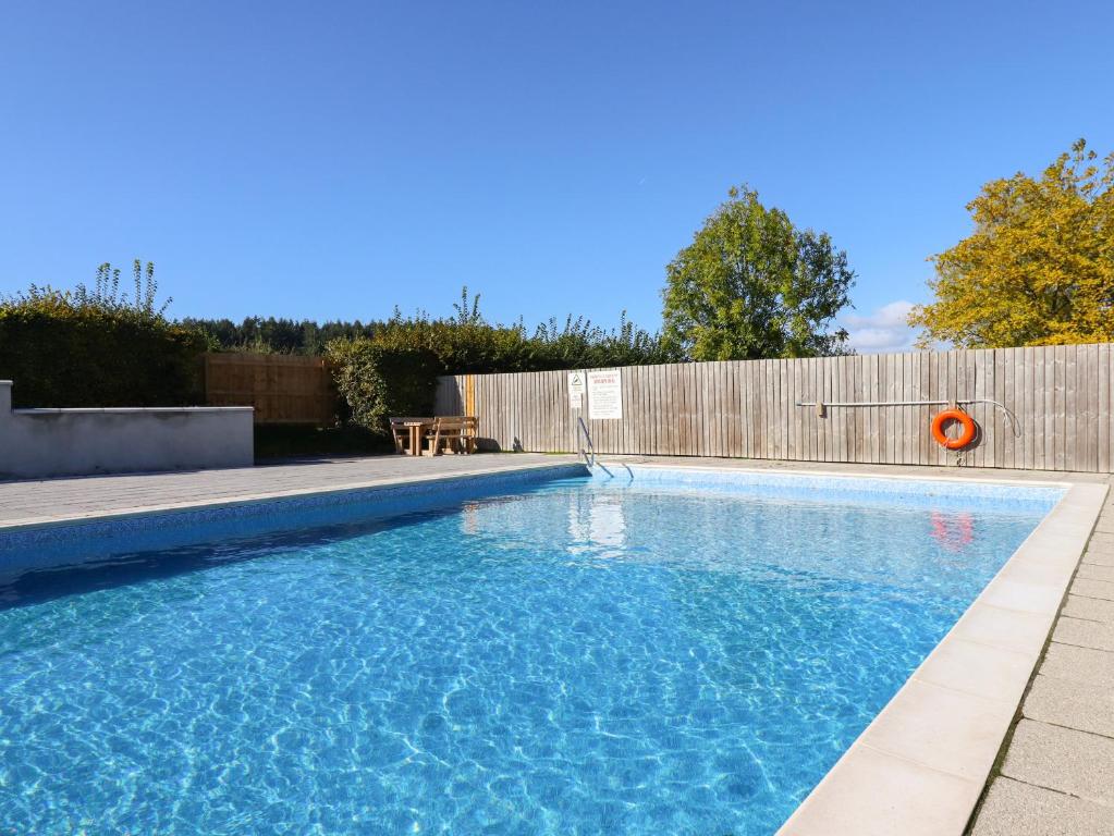 Birch Lodge, Teigngrace photo 4