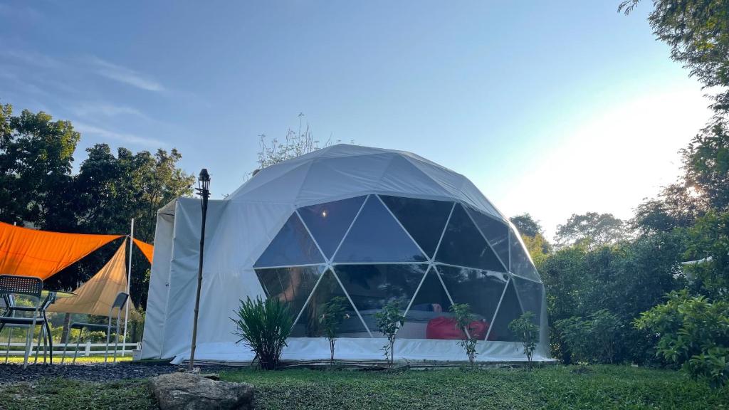 Panipa Organic Farm and Glamping photo