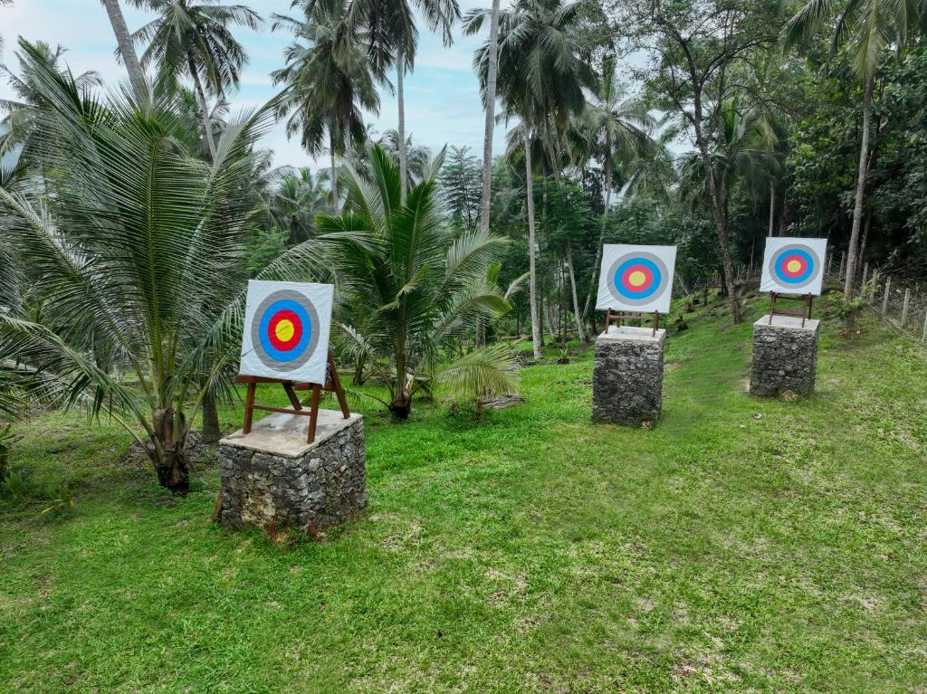 Sports and activities