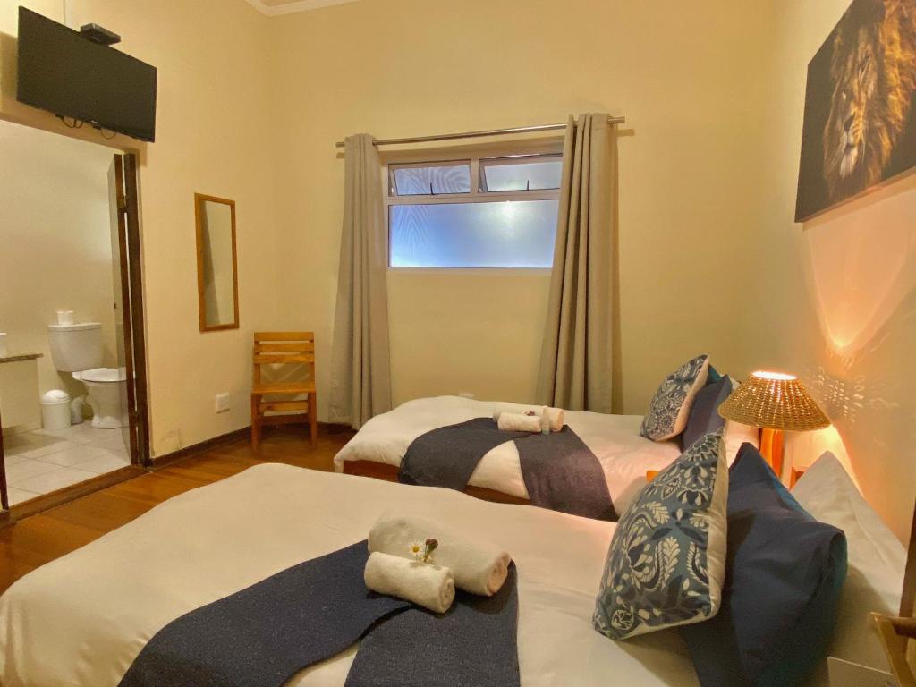 The Mole Guesthouse photo