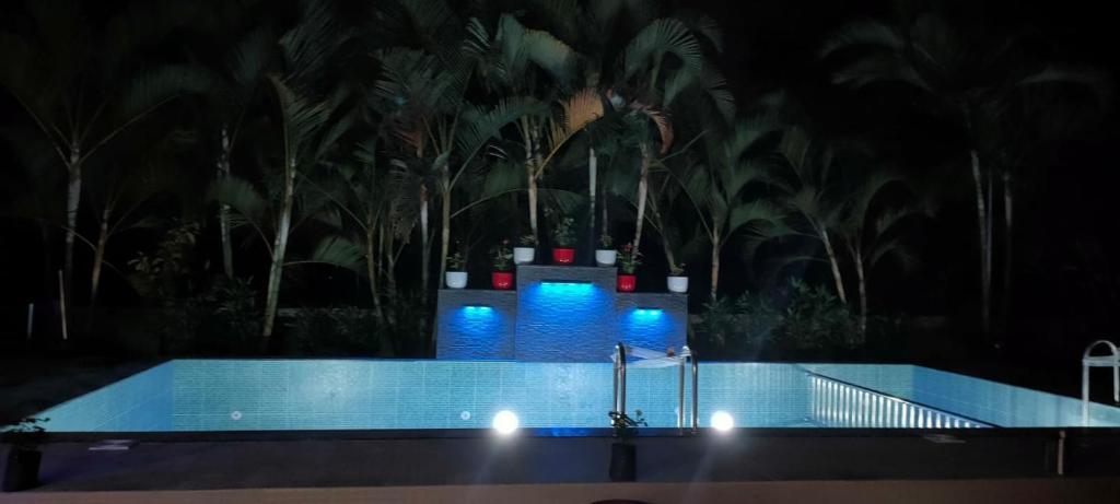 スイミングプール