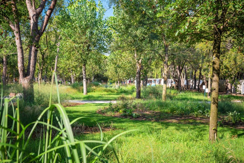 Camping Ca' Savio — Attractions in the area in Cavallino-Treporti, Veneto