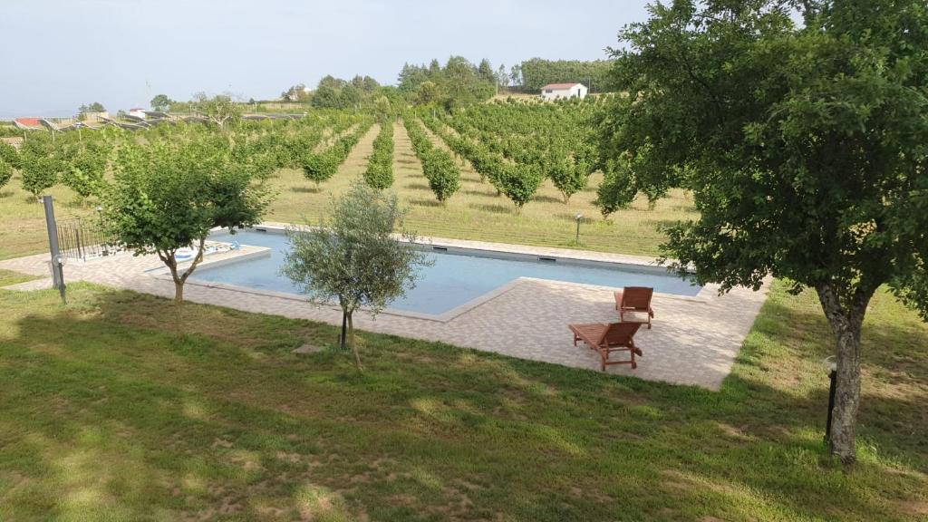 Domus Nirale, Bagnoregio