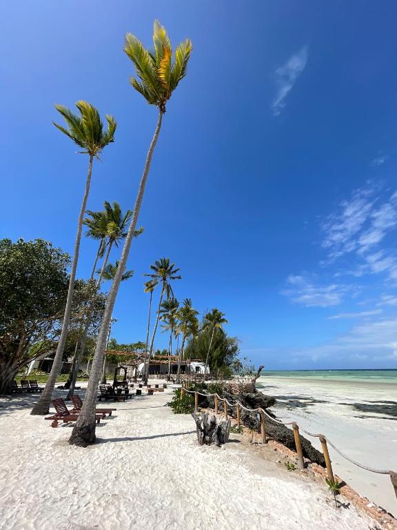 Aya Beach Resort photo