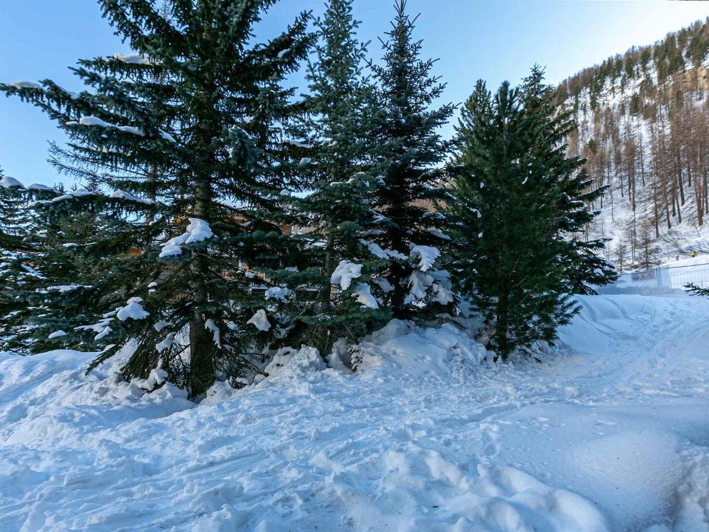 Studio cosy skis aux pieds, terrasse, proche village, animaux admis - 4