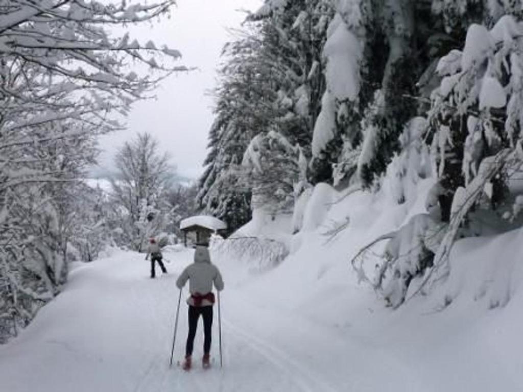 Gîte chaleureux à La Bresse avec terrasse, barbecue et proche des pistes de ski - FR-1-589-189 - 5