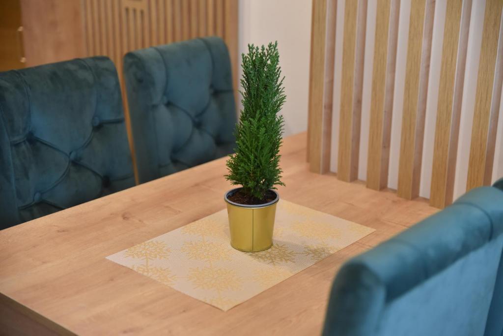 Apartman LUCIJA 9D57 Kraljevi Cardaci - 3