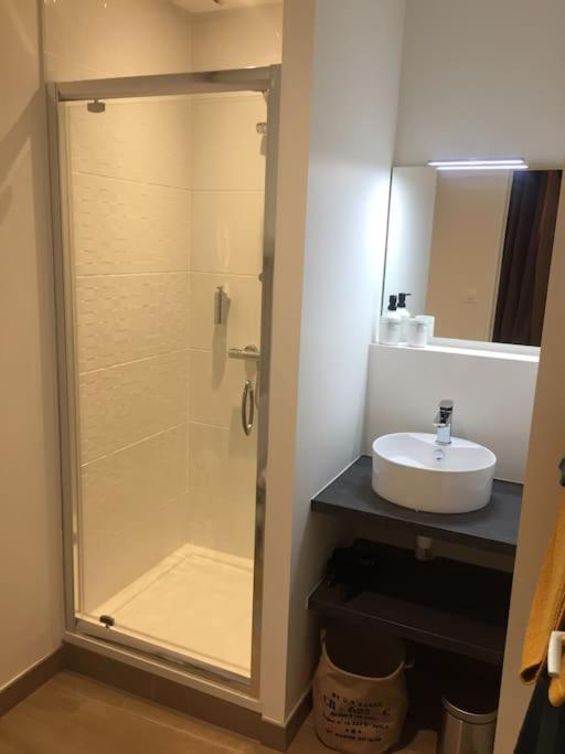Appartement en cœur de ville - 5