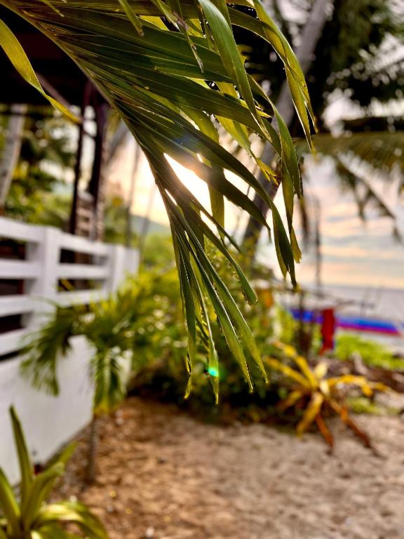 Pantai