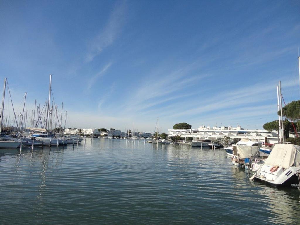 Studio cabine, terrasse au Grau-du-Roi, proche plage et commerces - FR-1-307-96 - 4