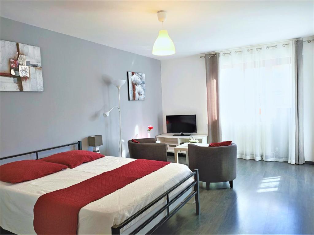 T1 lumineux avec terrasse et parking privé à Aix-les-Bains - FR-1-555-70 - 1