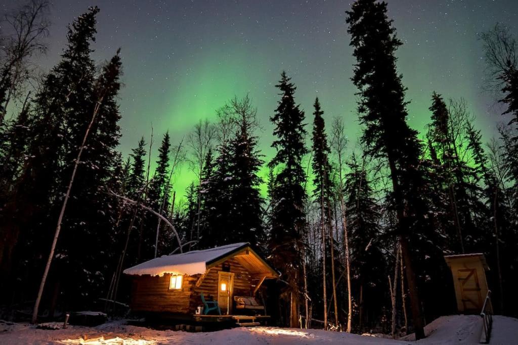 Studio Log DRY Cabin| Aurora Views!, Fairbanks