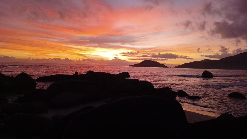 Tropical Bay Beach Hostel& Cottages photo