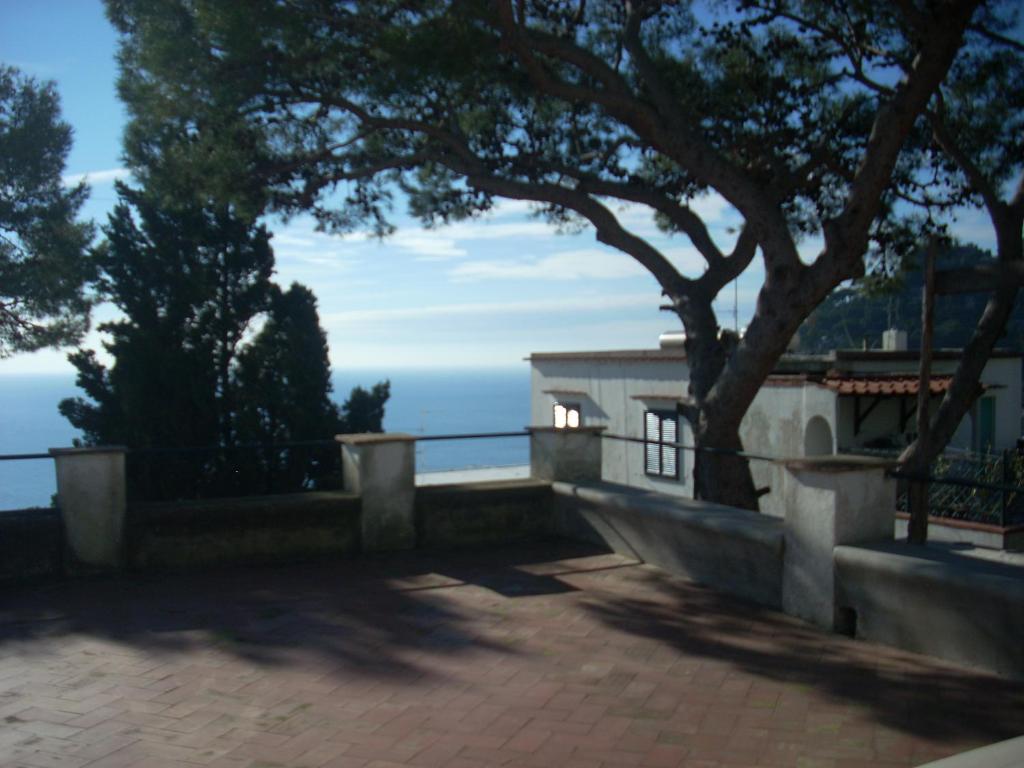 La Terrazza sul blu di Capri - 2