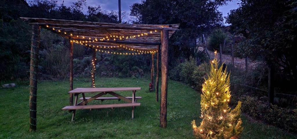 EcoChalet Luxury - 3