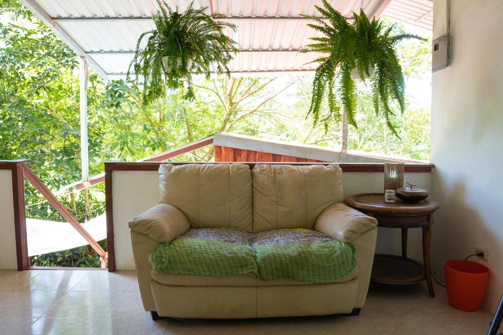Osa de Rio photo