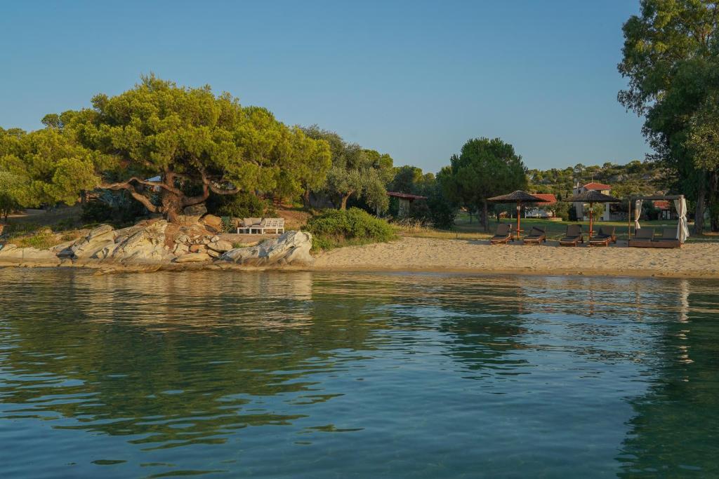 Serenity Estate photo