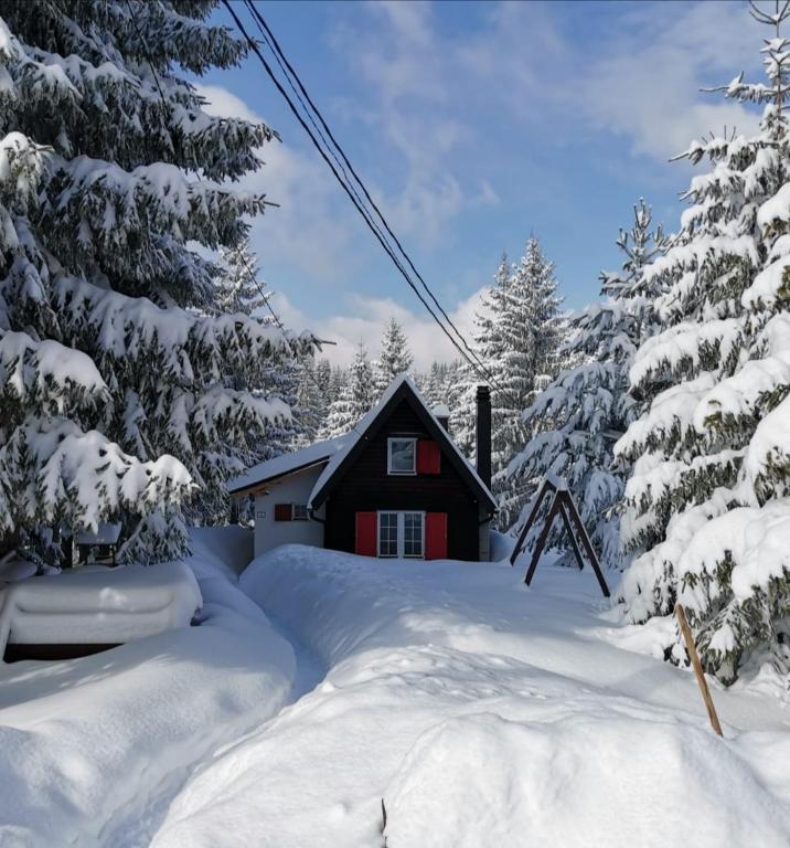 Snowhite Jahorina - 1