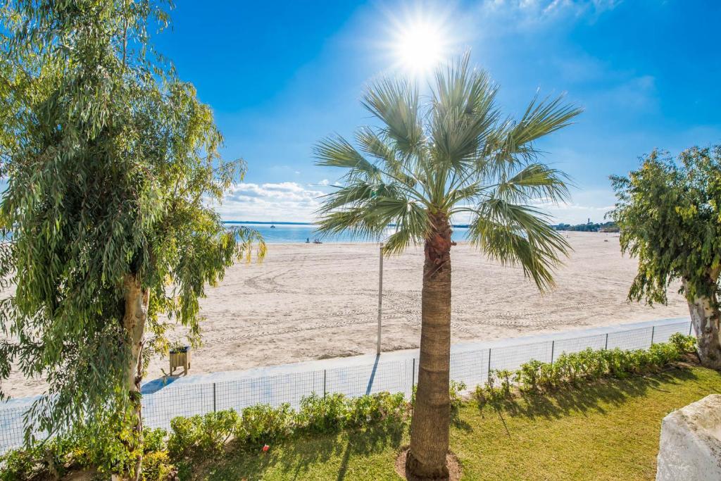 Ideal Property Mallorca - Carabela 44 - 5