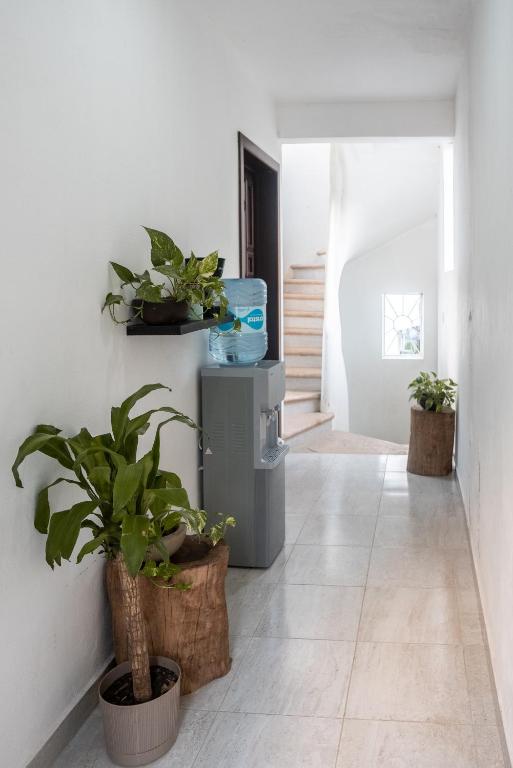 Xiinbal Rooms photo