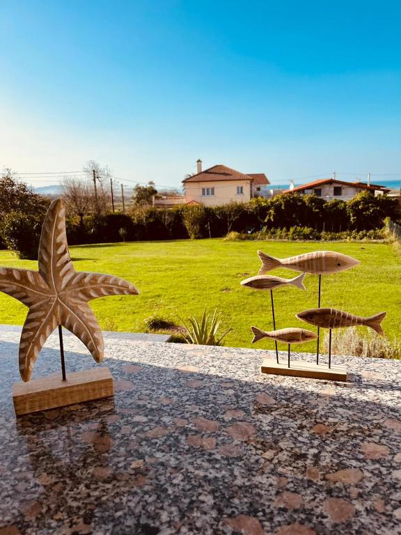 Alojamientos Robustiana, Santander