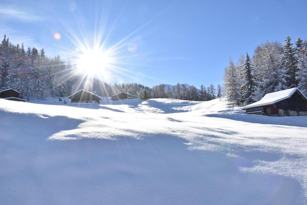 APPART ZIG-ZAG LES COCHES, Les Coches