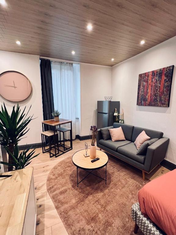 Jadore - Appartements meublés Mulhouse Ville - 3