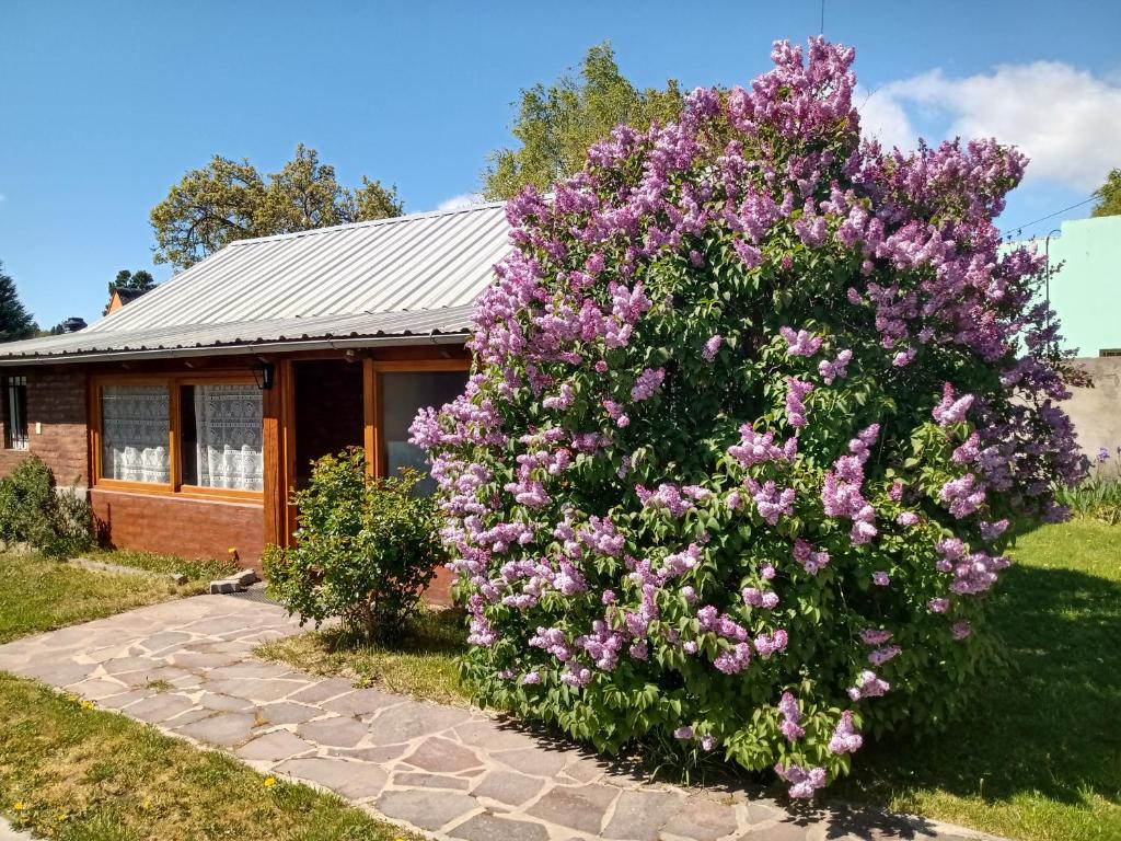 Cabaña Las Lilas - 2