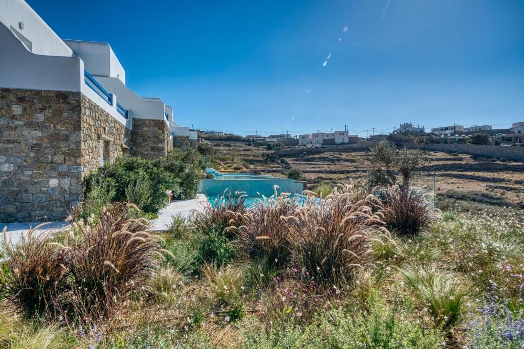 Surrounding environment