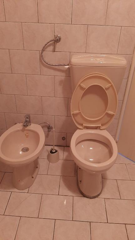 Apartmani Vesna photo