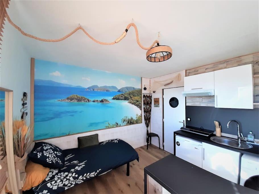 Songe Tropical-InvIRI. Studio CHU. Parking Aisé. - 2