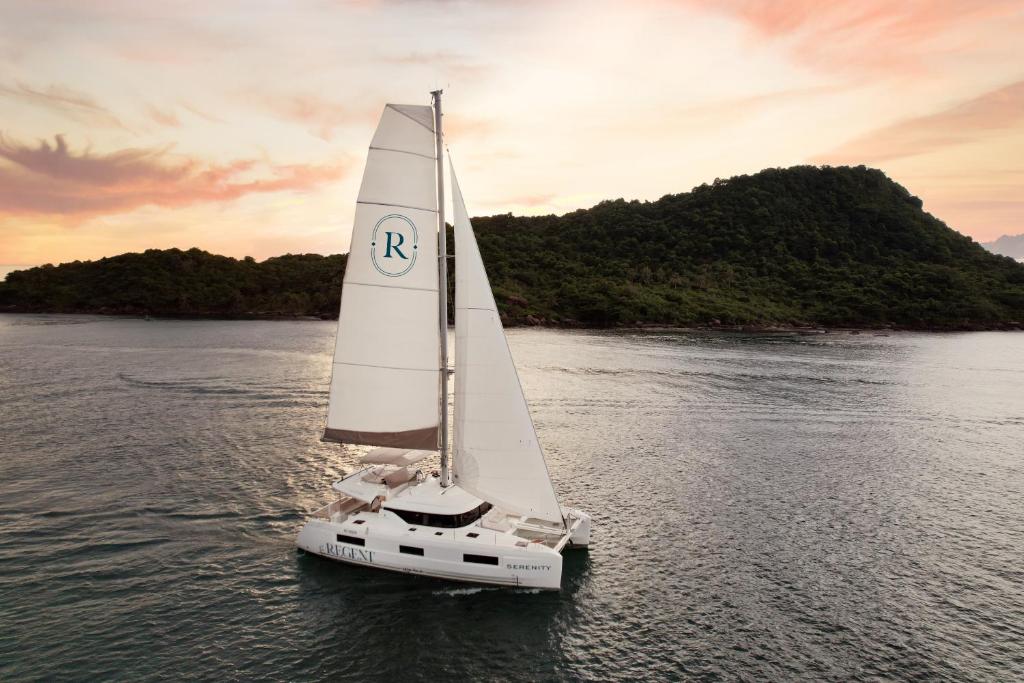 アクティビティ