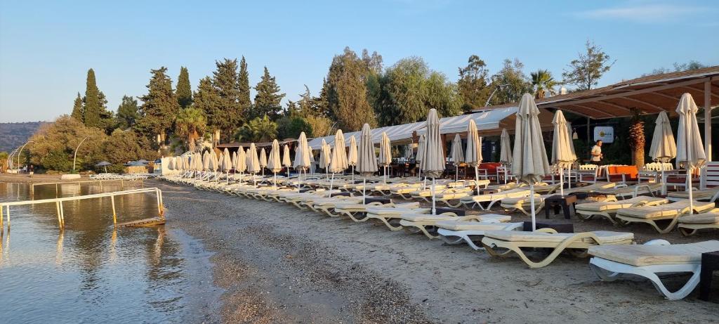 Manuela Hotel Bitez photo