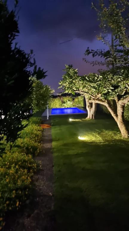 Villa Brancasi con piscina - 3