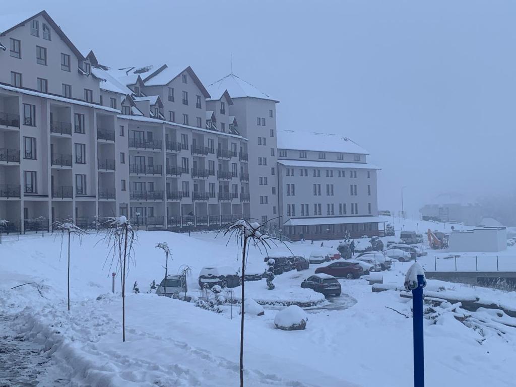 Milmari Resort N73 Ski & Spa - 2