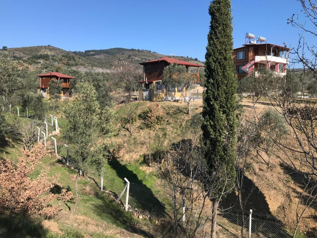 Egeros Ahşap Köy Evi C2