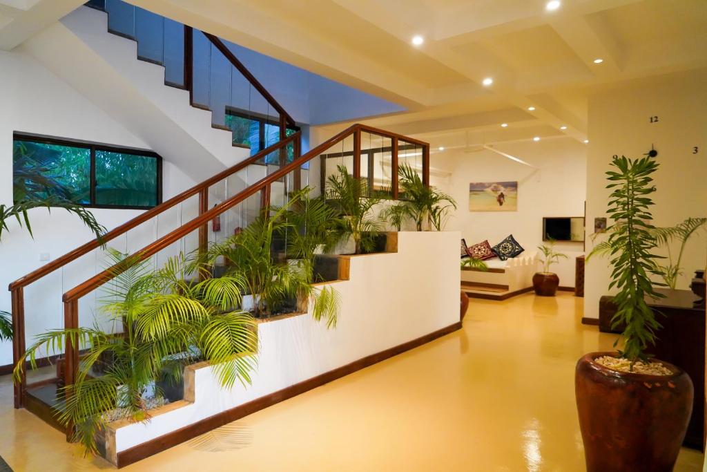 The Palm Residence by Amazing Zanzibar photo