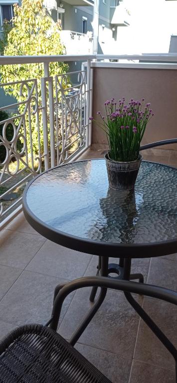 Apartman Harmonija Vrnjacka Banja photo