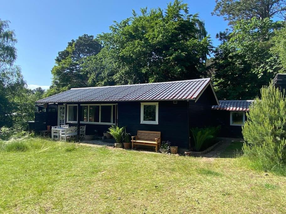 Cozy cabin, walking distance to the ocean.