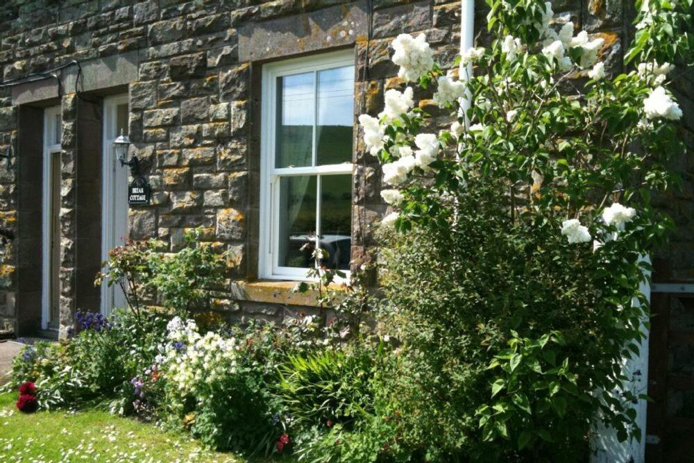 Briar Cottage, Wark