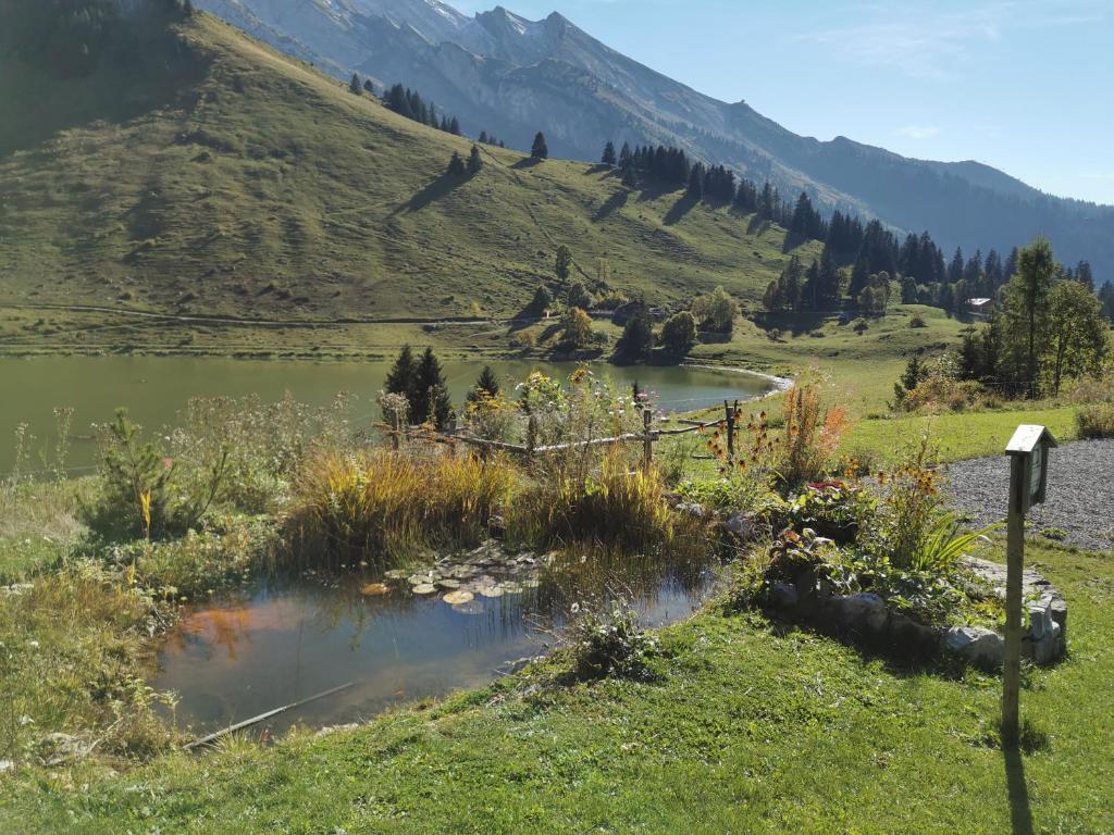 Hôtel du Lac des Confins - 3