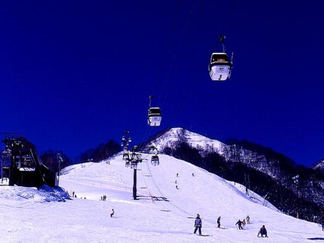 Tsugaike Kogen Lodge Shosen photo
